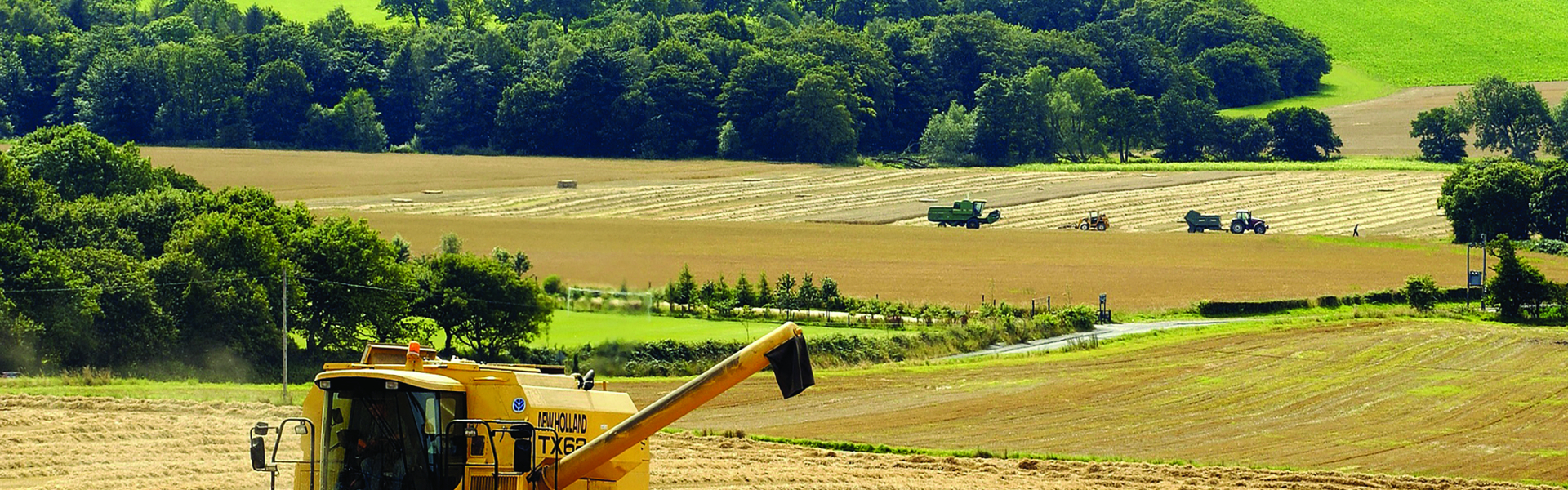 Farming