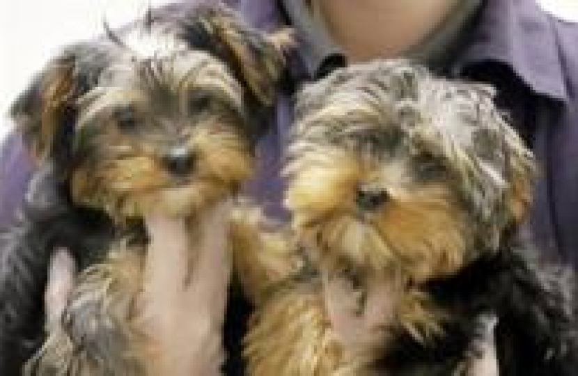 Save British Farming