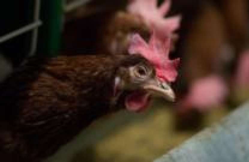 Kemi’s Wilberforce address