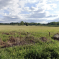 Firgrove Farm