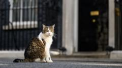 Forcing a vote on a national inquiry into grooming gangs